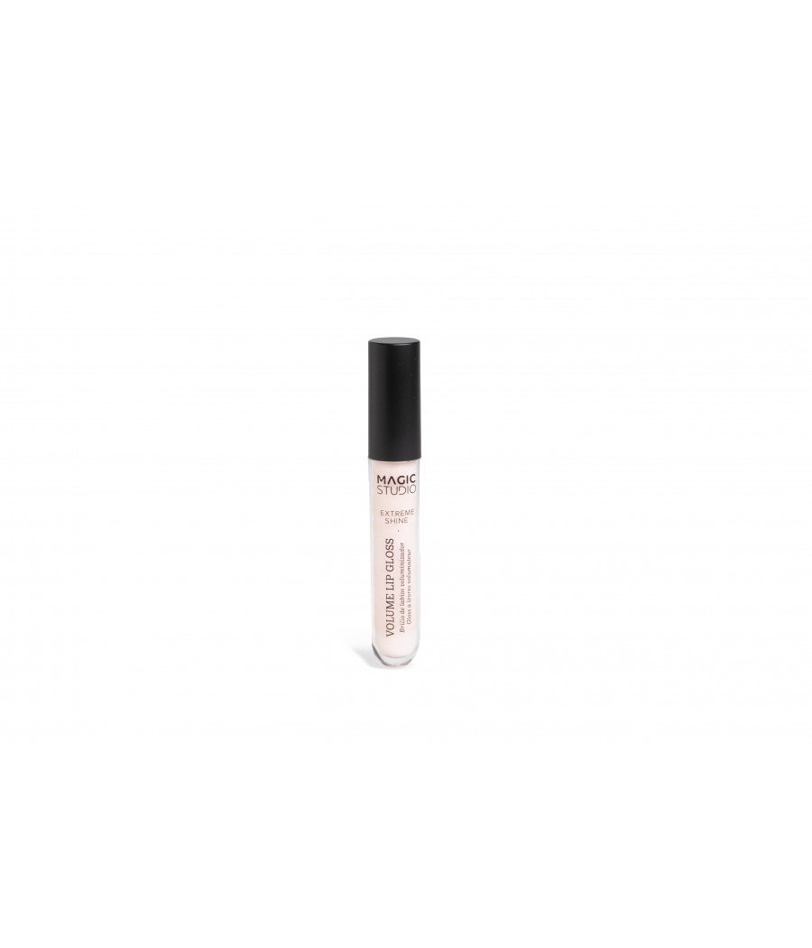 ESPOSITORE EXTREME VOLUME LIP GLOSS ASSORTITI 24 PZ