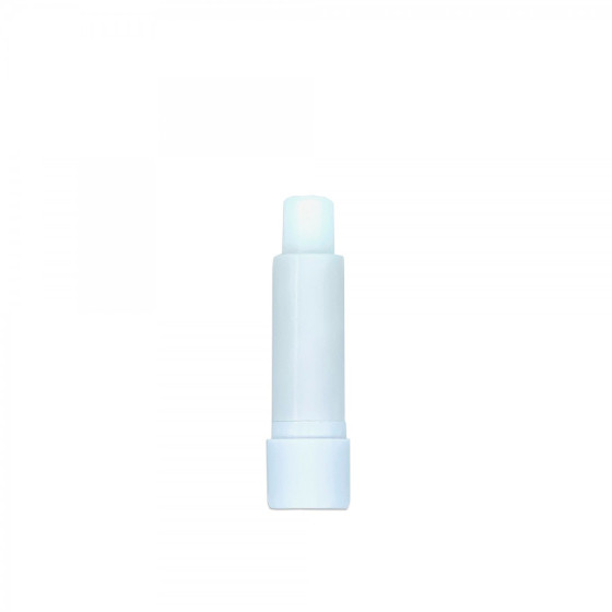 ESPOSITORE LIP BALM CON BURRO DI KARITE' 24 PZ