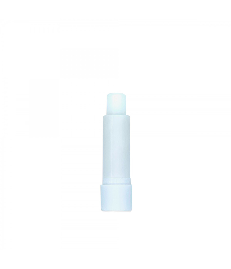 ESPOSITORE LIP BALM CON BURRO DI KARITE' 24 PZ