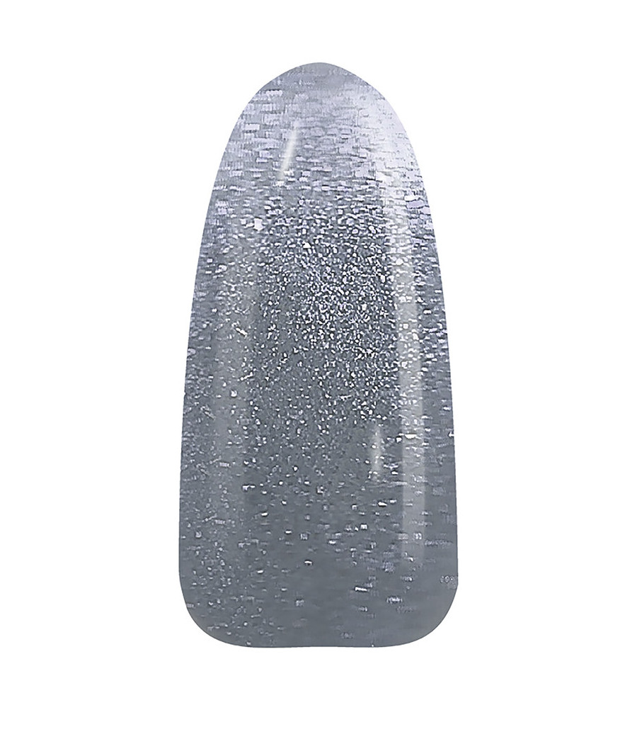 NAIL POLISH ARGENTO GLITTER N.65