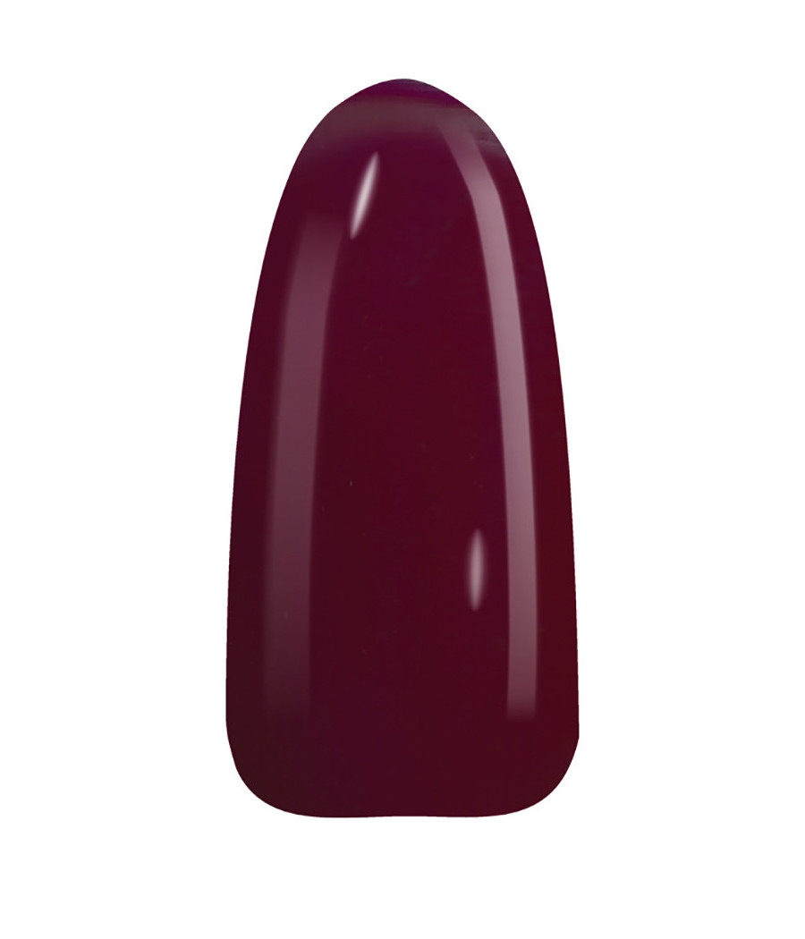 NAIL POLISH ROUGE NOIR SCURO N.58